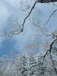 -大秃顶子山(雪谷店)