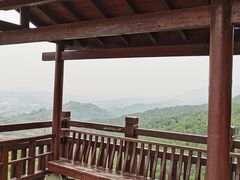 -铁山坪森林公园