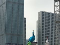 -东港音乐喷泉广场