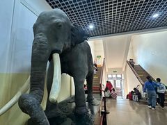 -国家自然博物馆