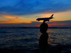 -宝安西湾红树林湿地公园