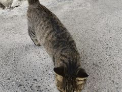 -狮子关旅游区
