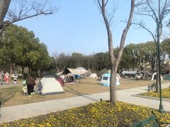 -新江湾城公园