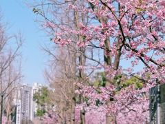 -静安雕塑公园