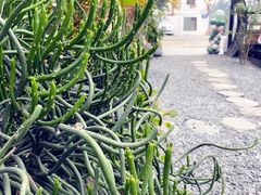 -云里小坐·小院里·团建·宴请·下午茶(三圣乡店)