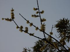 -苏州河梦清园环保主题公园