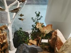 -杭州西湖博物馆总馆