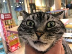 -小时光咖啡馆(开森度假森林店)