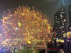 -珠江夜游西堤码头