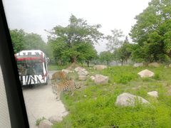 -西安秦岭野生动物园