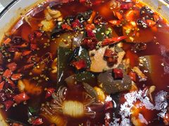 -雲蜀龙阁·金牌水煮鱼(方庄店)