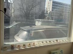 -美联众合动物医院·24h京西诊疗中心
