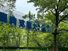 -WeLope紫金山探险公园