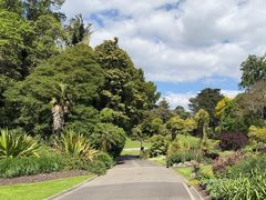 -墨尔本皇家植物园