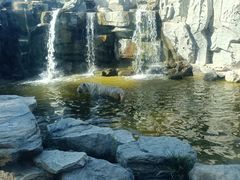 -北京野生动物园