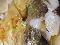 豆酱煮黄花鱼-广东道至正餐厅(区庄店)