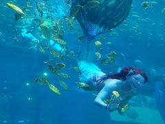 -华夏文旅海洋公园