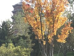 -北京雁栖湖国际会展中心