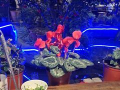 -大院河·仙鱼莊(九眼桥店)