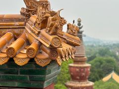 -颐和园