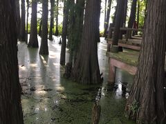 -东湖落雁景区