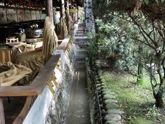 -水岸庭院·乡村柴火鸡