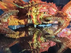 -同济大学四平路校区深海探索馆