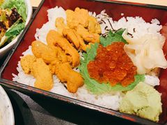 -琴寿司居酒屋(软件园店)