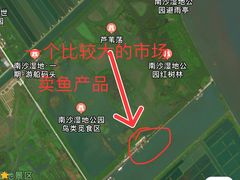 -大湾区中央湿地公园