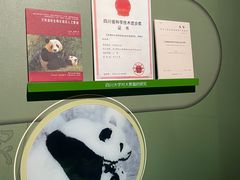 -四川大学博物馆