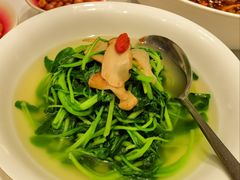 -森隆饭庄(崇文门新世界百货店)