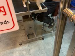 -我爱吾宠宠物美容院(朝阳路店)