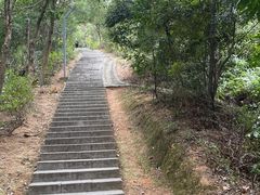-大亚湾红树林城市湿地公园