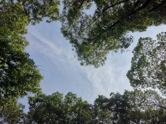 -临平公园(临平街道)