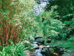 -火炉山森林公园