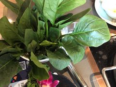 -捞王锅物料理(上海世茂广场店)