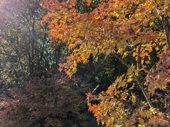 -丹东市五龙山风景区