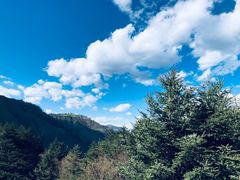 -硗碛藏寨·神木垒景区