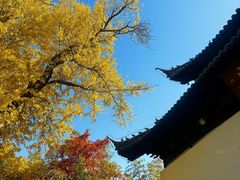 -狼山风景名胜区