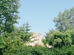 -秦皇岛野生动物园