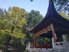 -汇龙潭