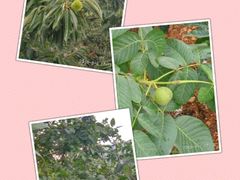 -大桥道食品商店(咸阳路店)