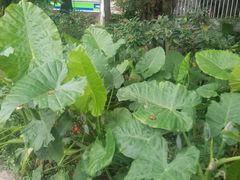 -万达广场(东莞厚街店)