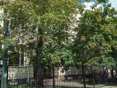 -老阿尔巴特大街