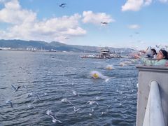 -海埂大坝
