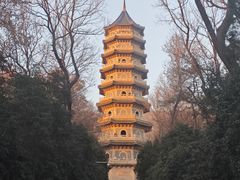 -灵谷景区