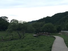 -大水川景区