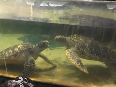 -苏州海洋馆