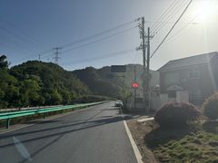 -江南天池
