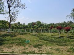 -白鹭湾湿地公园